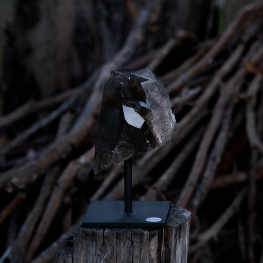 Smoky Quartz Cluster