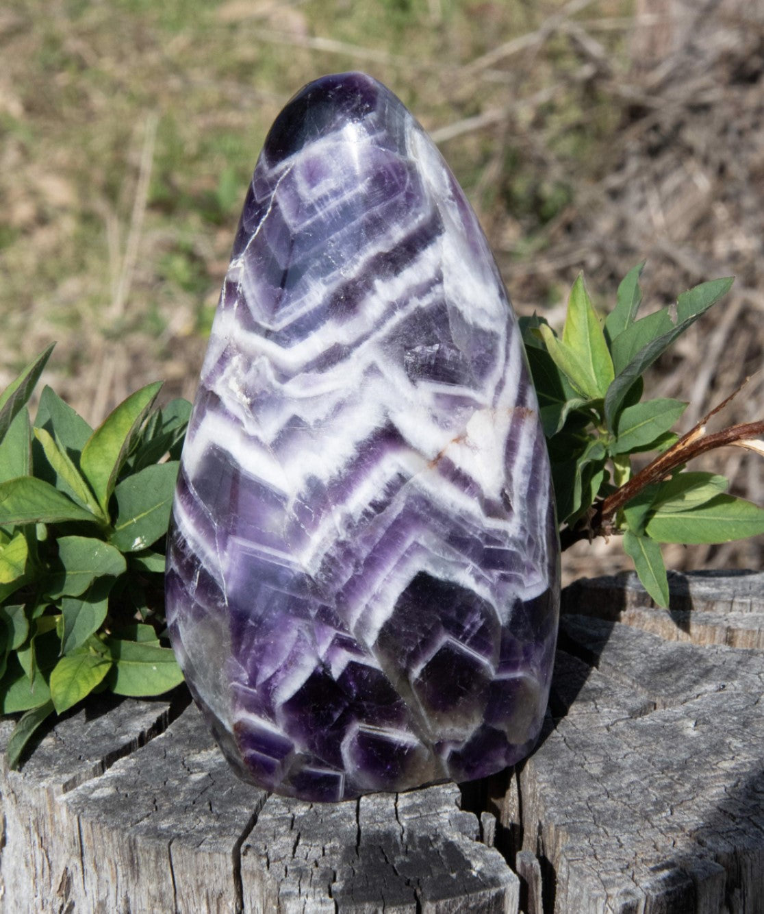 Chevron Amethyst Free Form