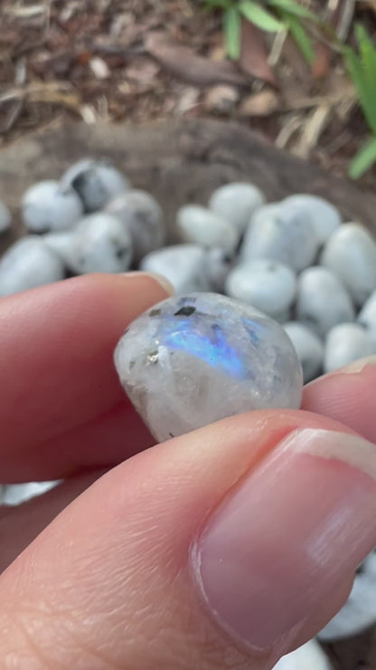 Tumbles - Rainbow Moonstone